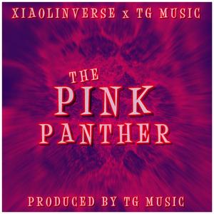 The Pink Panther (feat. XiaolinVerse)