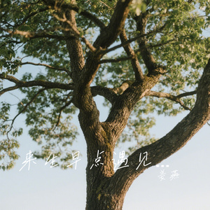 来生早点遇见你