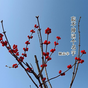忘不掉这个名字 (吉他版)