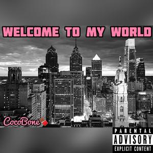 Welcome to My World