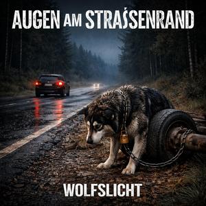 Augen am Straßenrand