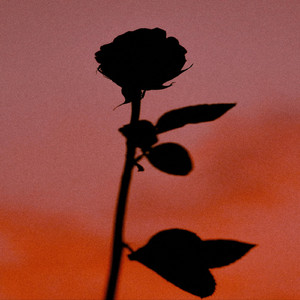 iknowyou