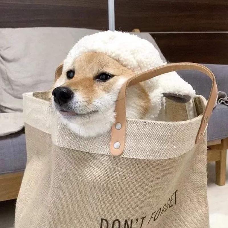 MOM封面
