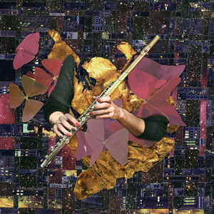 Marcus, Heap of Birds