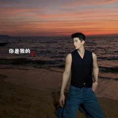 若是情长 (DJ版)