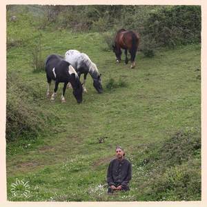 Movement No. 2 (Escápula)