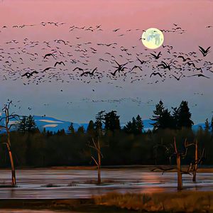 菲菲（重唱版）