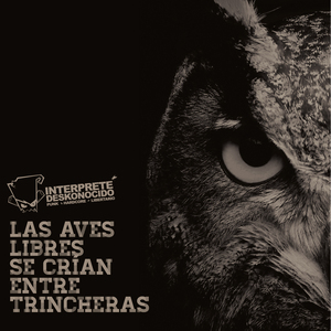 Las Luciérnagas Convertirán la Noche en Día