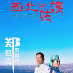 西北的姑娘 (东乡版)(DJ默涵版)