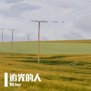追光的人