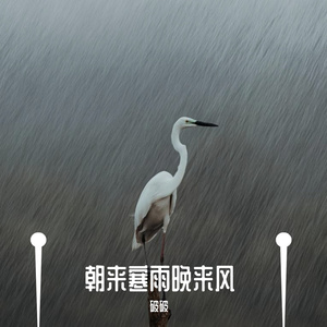 朝来寒雨晚来风
