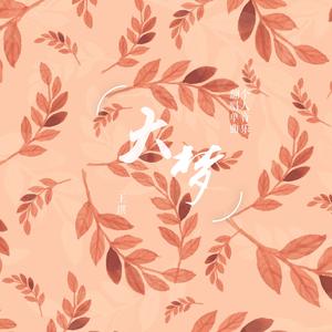 理想三旬（cover 陈鸿宇）