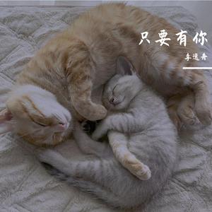 那英-只要有你（李逸舟 remix）