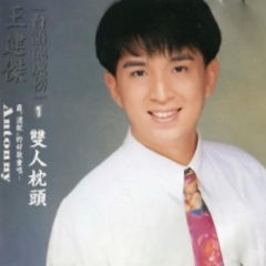 今夜我抺饮乎醉