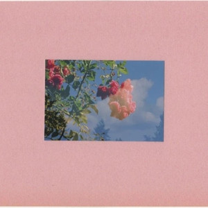 瑪 格 麗 特（Margaret）