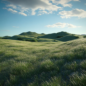 深度睡眠白噪音·森林里的下雨天
