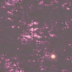 Kindled (Alternate take)