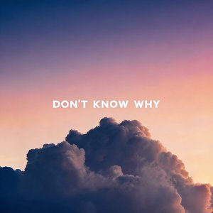Don't Know Why（AI Cover）