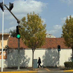 你就是我要的自由