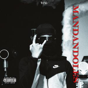 MANDANDOLES (feat. Andy Rojas)