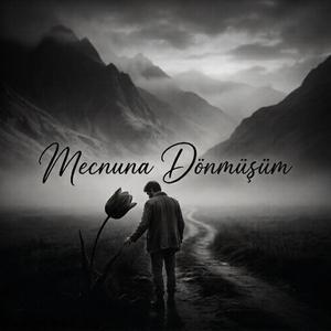 Mecnuna Dönmüşüm