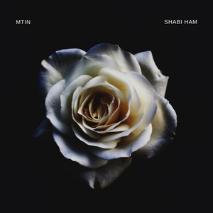 Shabi Ham