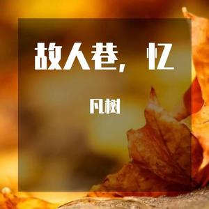 故人巷口，高品质伴奏，等人声