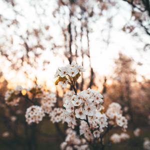 Rapper骗女孩的鬼话