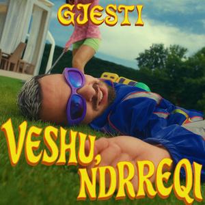 VESHU, NDRREQI
