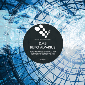 Jorogumo (Original Mix)