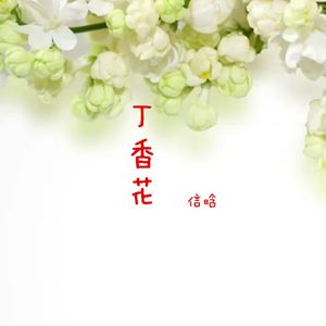 丁香花(热歌版)
