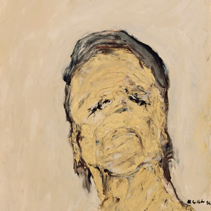 是一只意识流的鱼