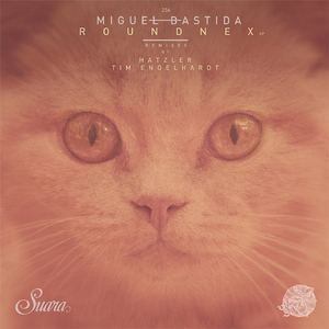 Roundnex (Hatzler Remix)