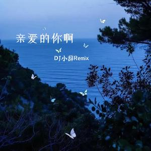 亲爱的你啊（DJ小辞Remix）