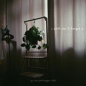 i still can't forget u(prod.shunde)