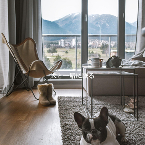 Vintage Backdrops for Fun Stories