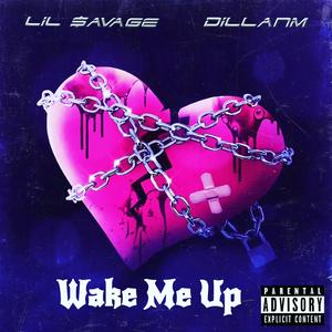 Wake Me Up (feat. Dillanm)