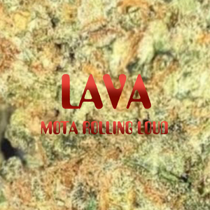 LAVA