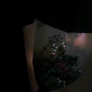 我曾经毫无指望的爱过你