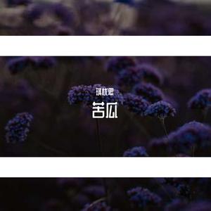 苦瓜（钢琴版）