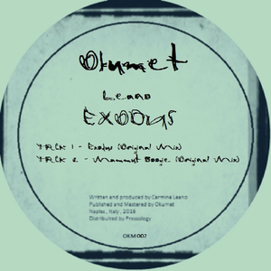 Mammut Boogie (Original Mix)