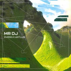 Mr DJ