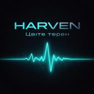 Цвіте терен