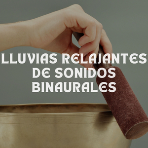 Bosque De Arroyos Y Sueño Profundo