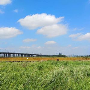 怀念相随（live）