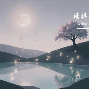 模样