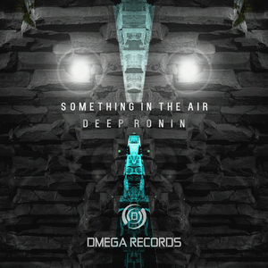 Something In The Air