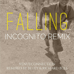 Falling (Incognito Remix) [feat. Incognito]