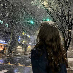 如果还能相见（我想和你再看一场雪）