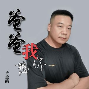 爸爸我想你 伴奏